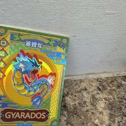 Pokemon Magikarp & Gyarados Chinese Pocket Eif Baby Claw Machine Cards - Image 5