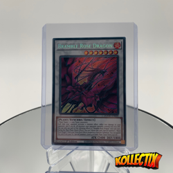 Yu-Gi-Oh! Doom of Dimensions - Bramble Rose Dragon - DOOD-EN039 Secret Rare - Image 1