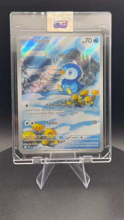 2025 Pokemon 🐧 Piplup #98 Phantasmal Flames Illustration Rare Near MINT 🔥🚀🌎 - Image 2