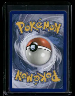 Pidgeot EX 64/108 - Holo Rare XY Evolutions Pokemon Card - NM/M - Image 2