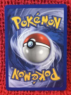 Swinub 79/111 Common NM - Neo Genesis Unlimited Pokemon TCG Card WOTC 2000 - Image 2