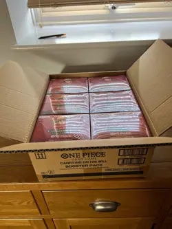 One Piece Carrying On His Will OP-13 Booster Box English Sealed X2 Case Fresh - Image 2