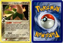 Pokemon Card - Tropius 23/101 Dragon Frontiers Rare Moderately Played - Image 3