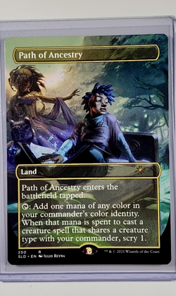 2021 MTG Magic the Gathering SLD Secret Lair Borderless #250 Path of Ancestry - Image 1