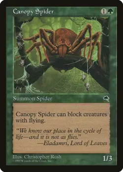 Canopy Spider - Tempest (TMP) - Image 1