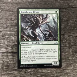 MTG 1x Gnarlwood Dryad x1 LP Eldritch Moon - Image 1