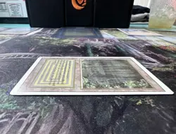 Bayou MTG Revised Edition Regular LP - Image 4