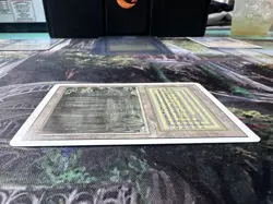 Bayou MTG Revised Edition Regular LP - Image 5