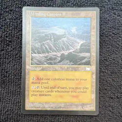 Wizards of the Coast Winding Canyons Land English Regular 1997 - Image 1