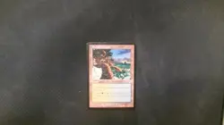Yavimaya Coast Apocalypse Moderately played Rare Magic_the_gathering - Image 1