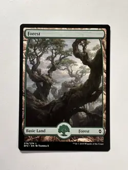 Forest - FULL ART (#274) - MTG Battle for Zendikar - NM - Image 1
