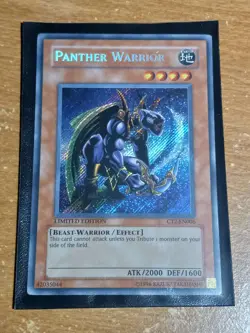 Panther Warrior - 2005 Collectors Tin (CT2) Limited Edition - Image 2
