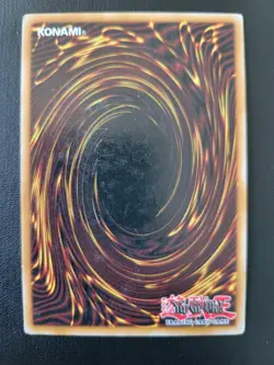 Foolish Burial SDDL-EN029 Yu-Gi-Oh Spell Card NM/LP Staple - Image 2