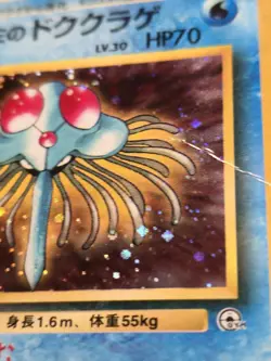 Misty's Tentacruel Holo Rare Japanese Card Gym Set No. 073 MP front/HP back - Image 5