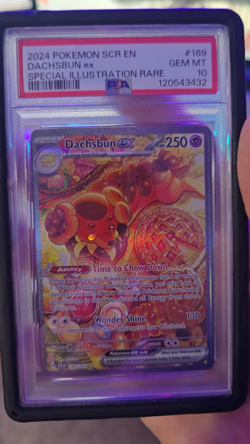 2024 POKEMON SCR EN-STELLAR CROWN SPECIAL ILLUSTRATION RARE DACHSBUN EX PSA 10 - Image 2