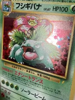 Venusaur Holo CD Promo - Japanese Pokemon Card - 1998 - SWIRL 💫 - Image 3