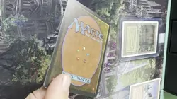 Taiga MTG Dual Land Revised Edition 1994 - Image 2