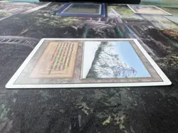 Taiga MTG Dual Land Revised Edition 1994 - Image 5