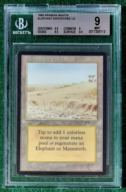 Elephant Graveyard - Arabian Nights - MTG - BGS 9 with two 9.5's. Mint. - Image 1