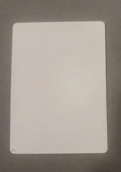 MTG Magic Memory Lapse (V1) Signed Artist Proof X1 Homelands HML Mark Tedin - Image 2