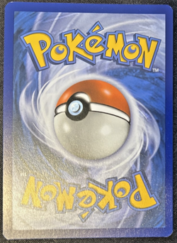 Galarian Ponyta SWSH013 SWSH: Sword & Shield Promo Cards Holo - Image 2