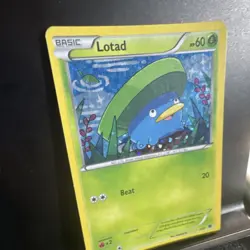 The Pokemon Company Lotad 002/012 Holo Promo Basic McDonald's 2015 - Image 1