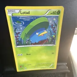 The Pokemon Company Lotad 002/012 Holo Promo Basic McDonald's 2015 - Image 2