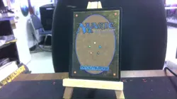 dragonhawk fate's tempest mtg - Image 2