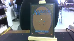 savannah revised mtg - Image 2