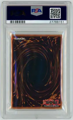 2002 1ST EDITION BLUE-EYES TOON DRAGON PSA 10 MRL-000 MAGIC RULER YUGIOH! - Image 2
