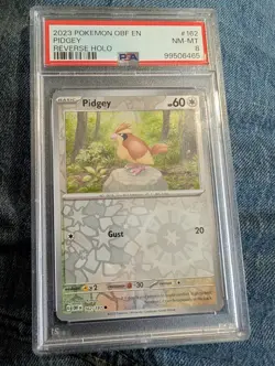 2023 Pokemon Obsidian Flames Pidgey 162/197 Reverse Holo PSA 8 NM-MT - Image 1