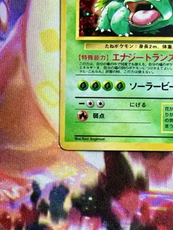 Pokemon TCG: 1999 Japanese Venusaur - Holo Rare - Intro Pack (Bulbasuar Stamped) - Image 5