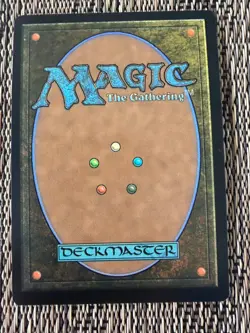 FOIL Moderately Played (READ DESC.) Waste Not (Borderless) Promo CMD: TMNT MTG - Image 4