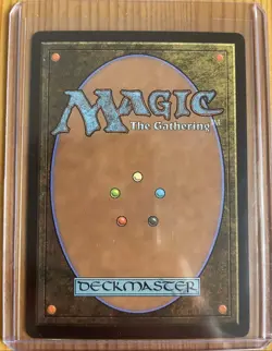Mistrise Village Foil Rare Land TDM 261 MTG Near Mint - Image 2