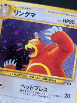Ursaring Crossing the Ruins... Pokemon NM Holo - Image 2