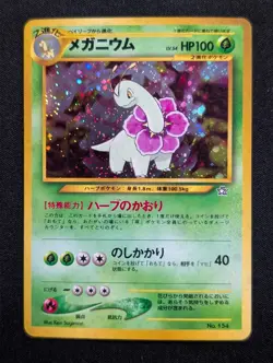 Meganium Neo Premium File 1 Pokemon NM Holo SWIRL - Image 1