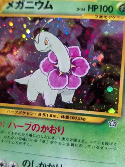 Meganium Neo Premium File 1 Pokemon NM Holo SWIRL - Image 2