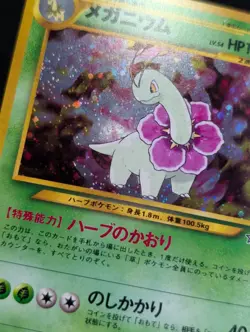 Meganium Neo Premium File 1 Pokemon NM Holo SWIRL - Image 3