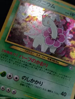 Meganium Neo Premium File 1 Pokemon NM Holo SWIRL - Image 4