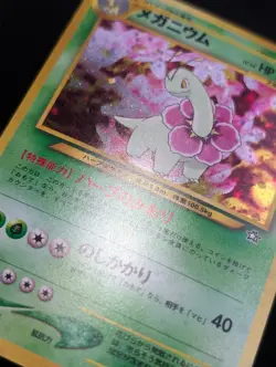 Meganium Neo Premium File 1 Pokemon NM Holo SWIRL - Image 5