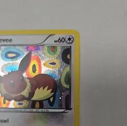 The Pokemon Company Eevee BW94 Black & White Holo Promo Basic 60 HP English - Image 4