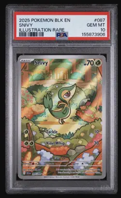 Pokemon Snivy 087/086 Sv: Black Bolt Illustration Rare Holo EN 2025 PSA 10 - Image 1