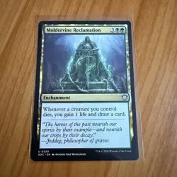 Moldervine Reclamation - N/M - Secrets Of Strixhaven Magic The Gathering MTG - Image 1