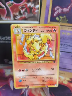 Pokemon Karte Card Arcanine Arkani Intro Pack Squirtle Schiggy Wotc japanese LP - Image 1