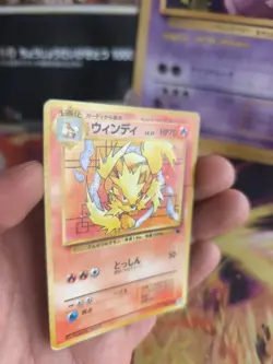 Pokemon Karte Card Arcanine Arkani Intro Pack Squirtle Schiggy Wotc japanese LP - Image 4