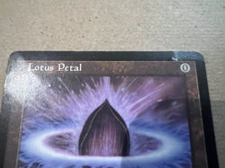 Lotus Petal - Tempest - MTG - Magic the Gathering - MP - Image 2