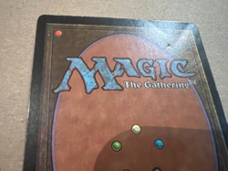 Lotus Petal - Tempest - MTG - Magic the Gathering - MP - Image 4