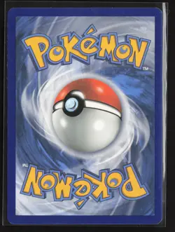 Mudkip 019/025 Promo McDonald's 25th Anniversary Promos Pokemon MP - Image 2