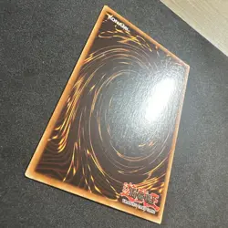 1x Yugioh Cockroach Knight TP1-029 NM - Image 3