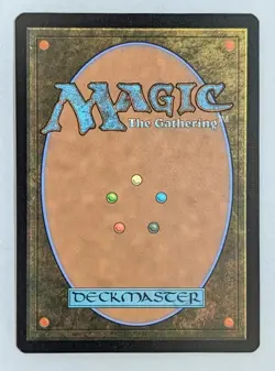 Forest (0892) (Rainbow FOIL) | NM Near Mint | SLD Secret Lair Magic MTG - Image 2